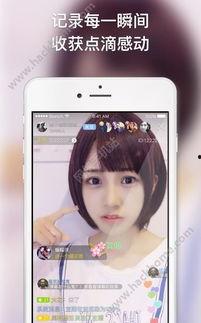 福利视频在线观看,在线观看，畅享视听盛宴